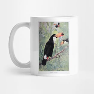 Giant Toucan Mug